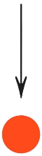 Arrow Dots
