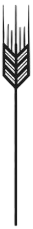 Arrow